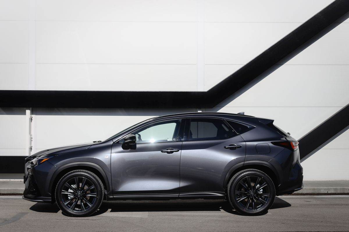 Lexus NX (6).jpg