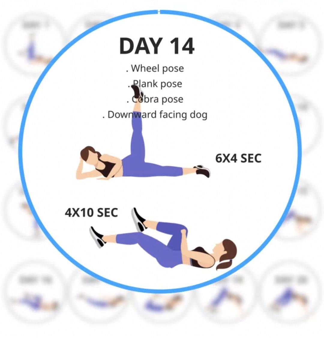 Daily Yoga Fitness+Meditation (9).jpg