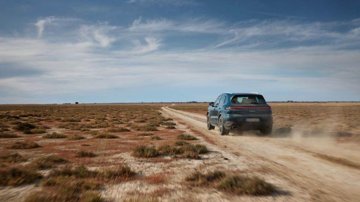 Porsche Cayenne 2023 (6).jpg