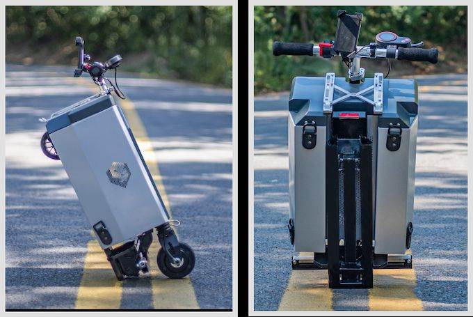 Alien-Ish Ongo (6).jpg