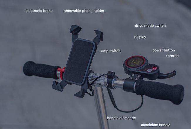 Alien-Ish Ongo (3).jpg