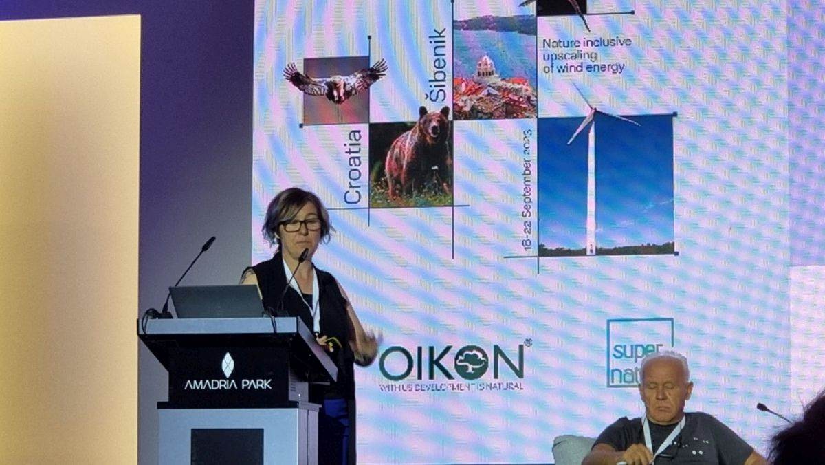 CWW 2023 Šibenik leteća lisica šišmiš (6).jpg