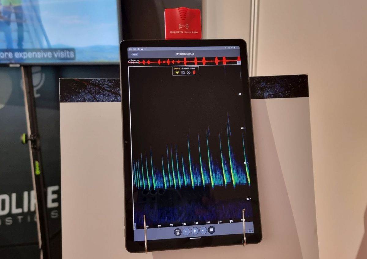 WildLife Acoustics CWW 2023 Šibenik (5).jpg