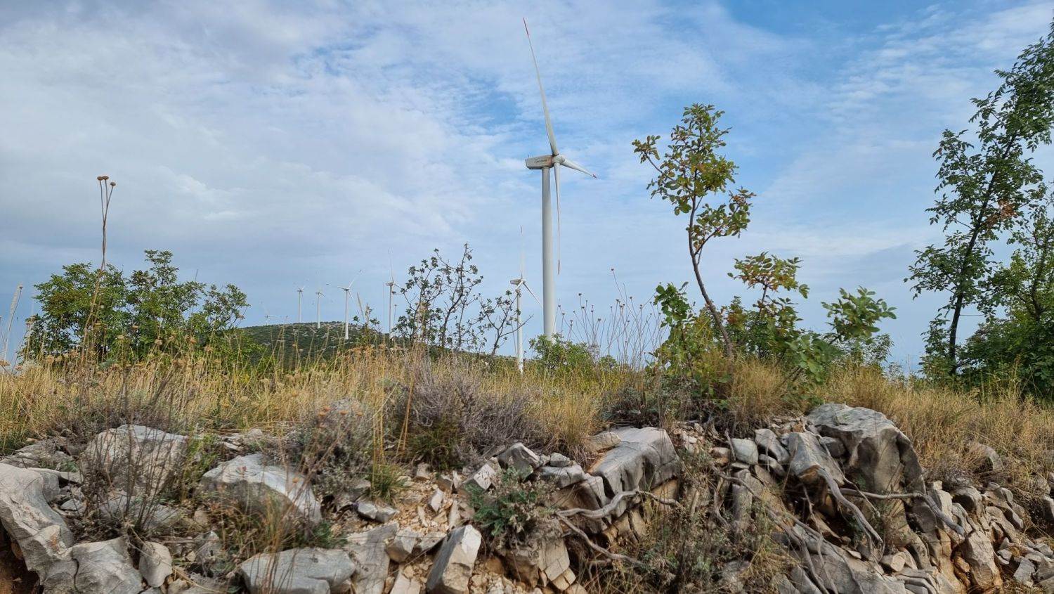 Vjetroelektrana Jelinak (21).jpg