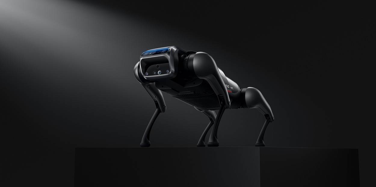 IDE 11,5 KM/H Robot pas slijedi čovjeka poput pravog psa