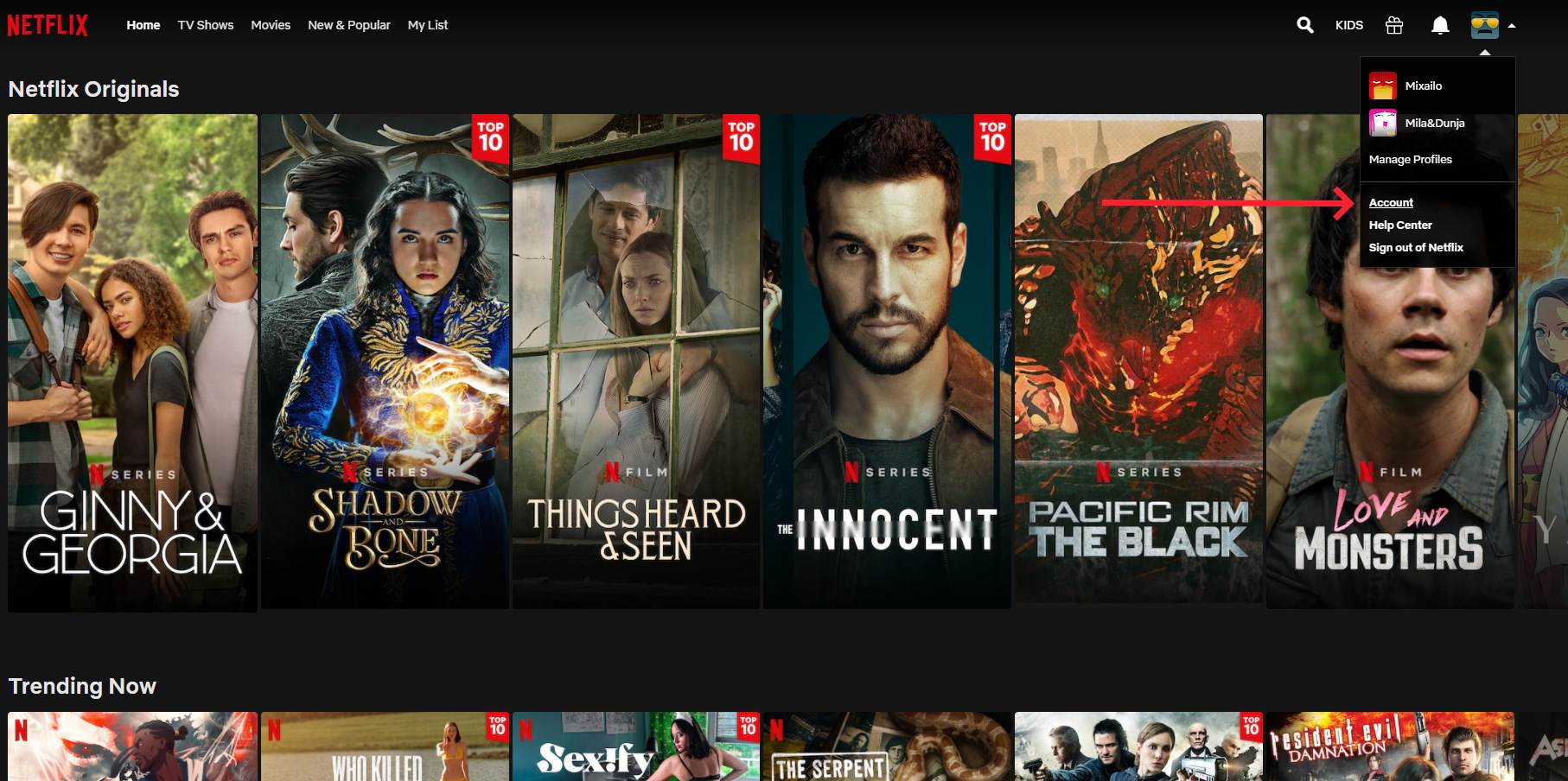 BLOKIRANJE IP ADRESA Pojavili su se problemi za korisnike Netflixa