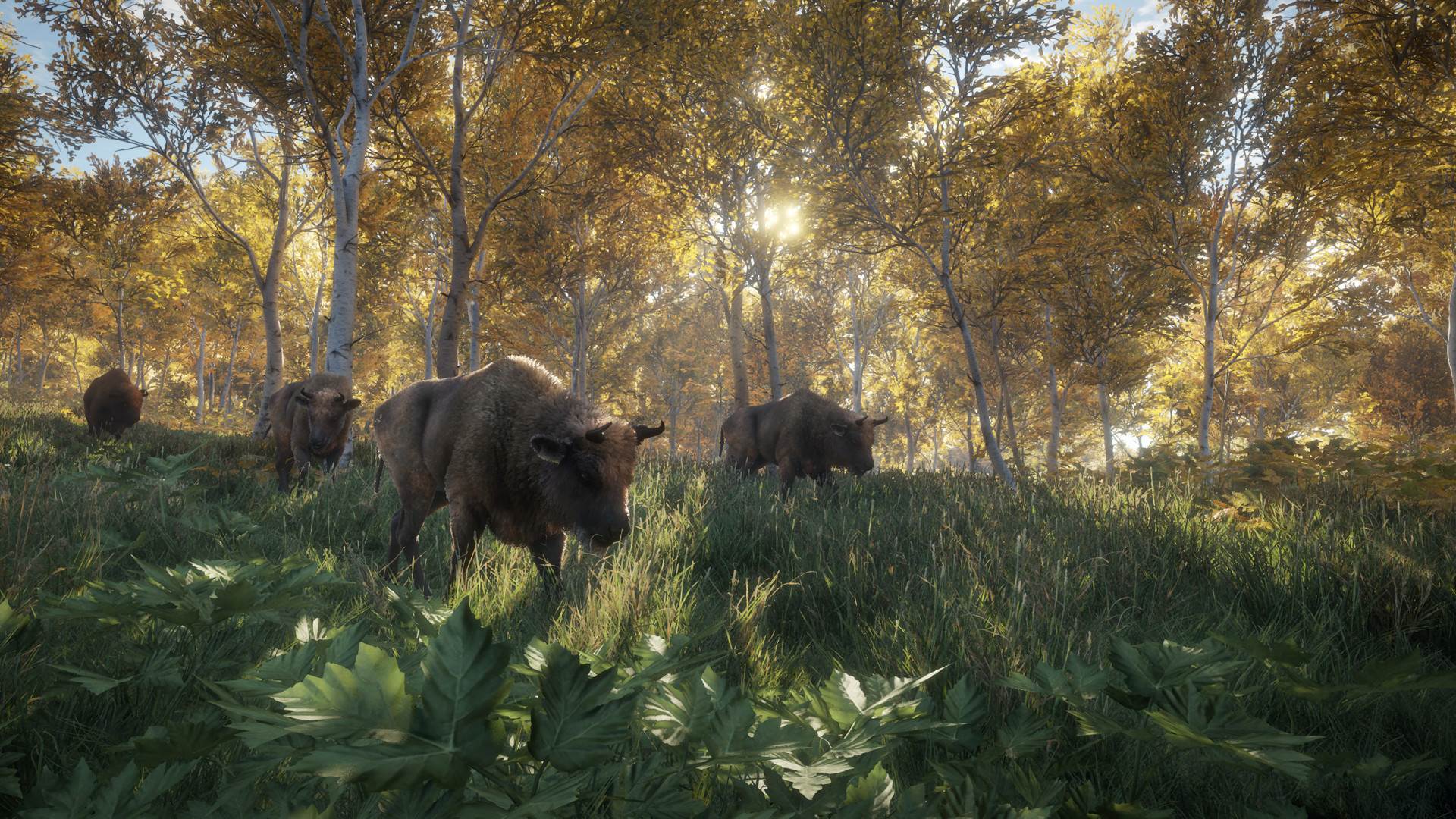 theHunter Call of the Wild (11).jpg