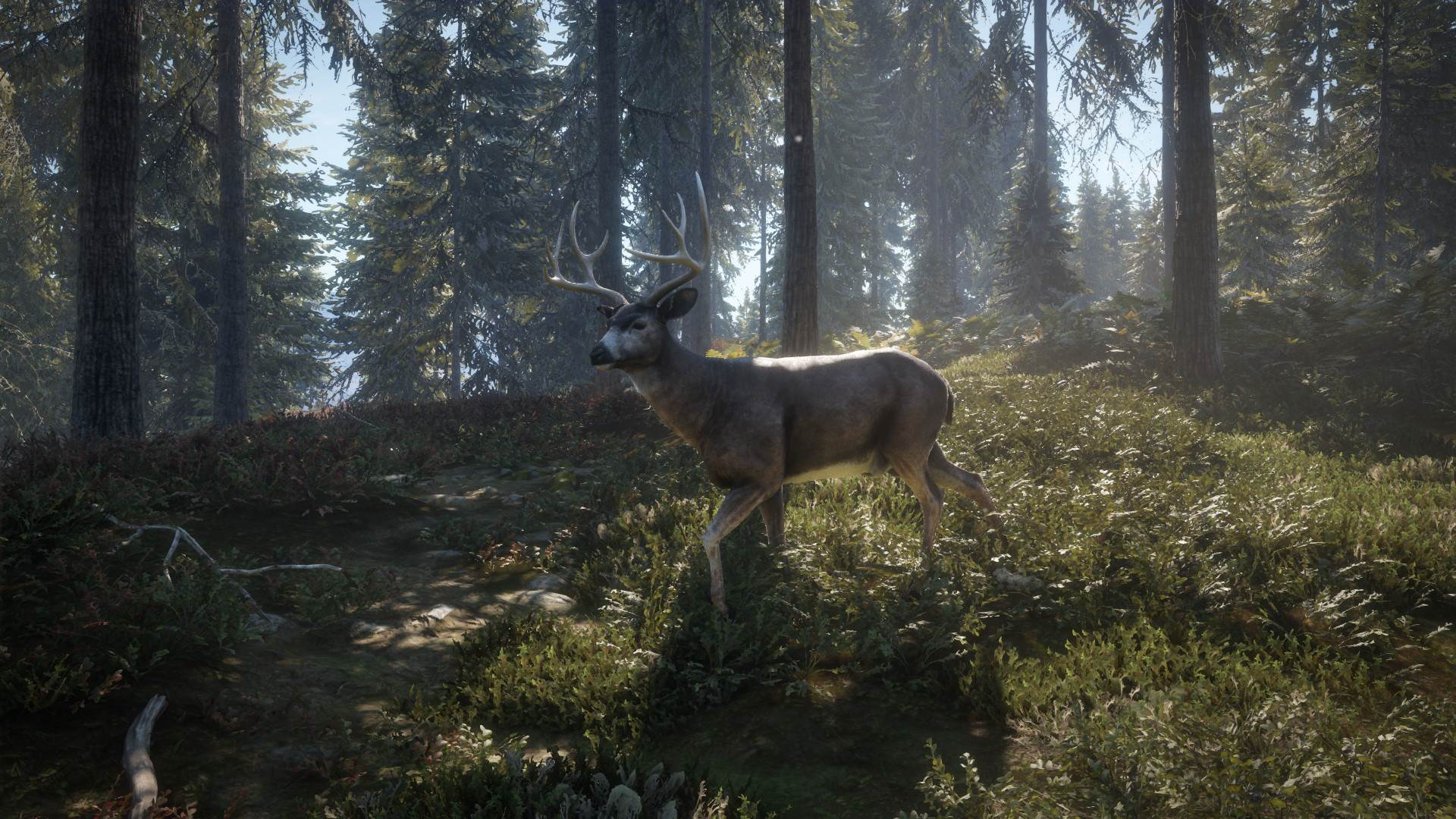 theHunter Call of the Wild (13).jpg