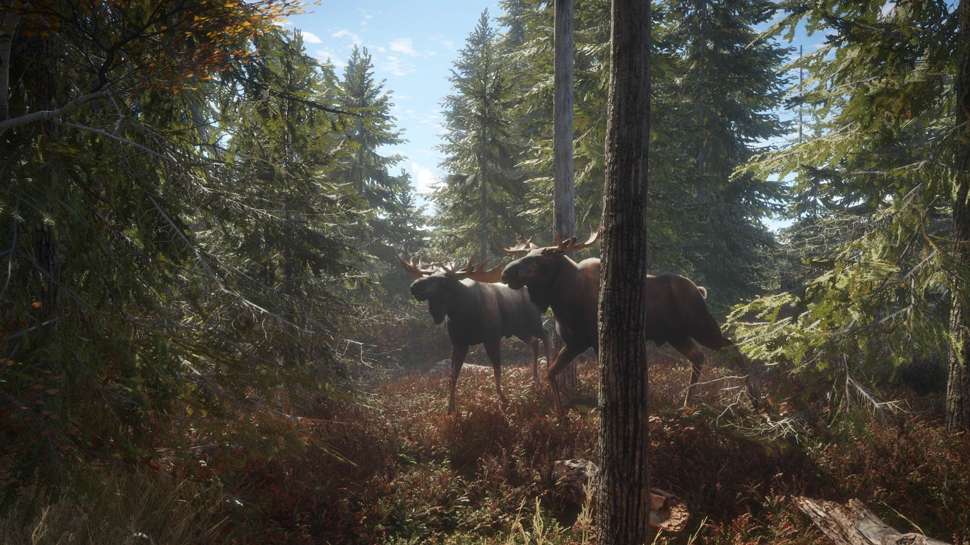 theHunter Call of the Wild (14).jpg