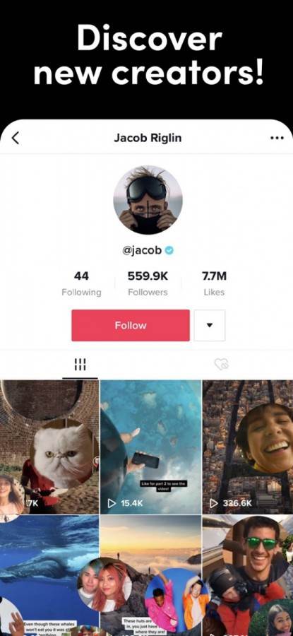 TikTok-4.jpg