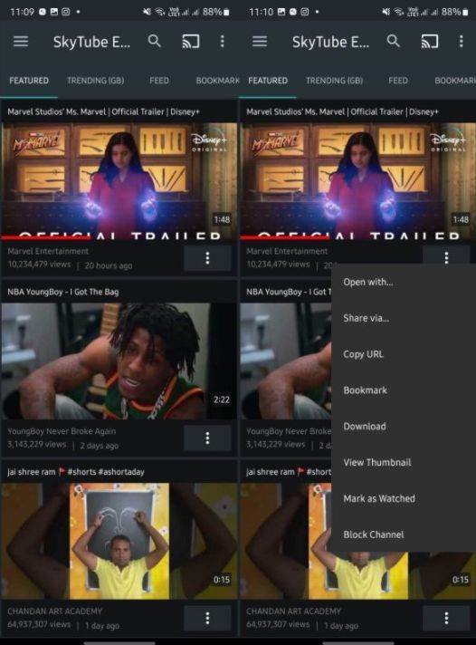 SkyTube 1.jpg