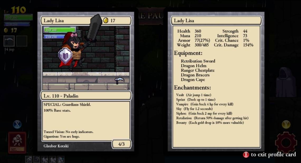 Rogue Legacy (3).jpg