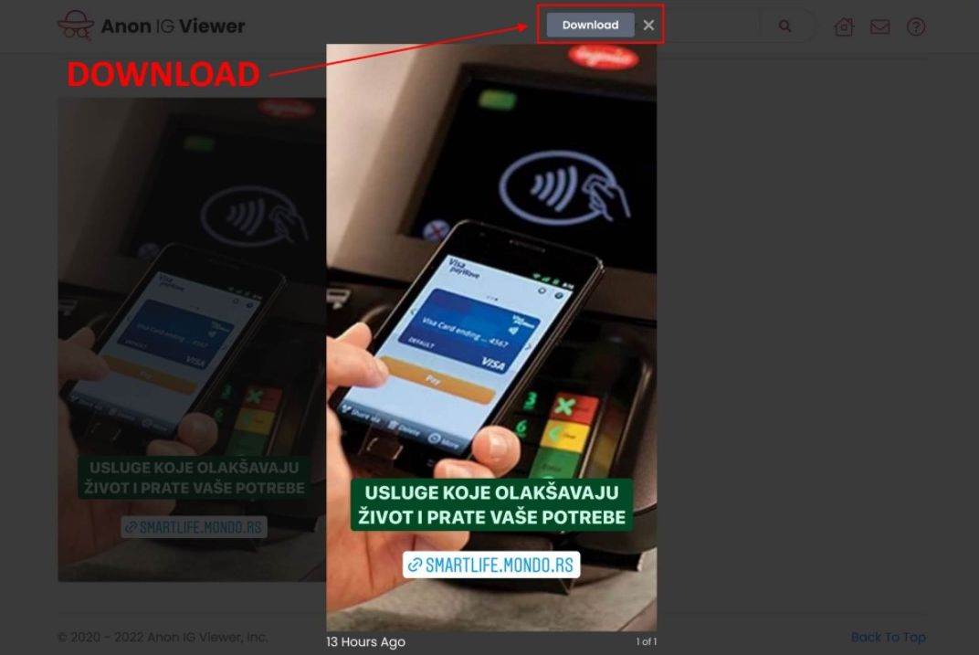 Anon IG Viewer  5.jpg