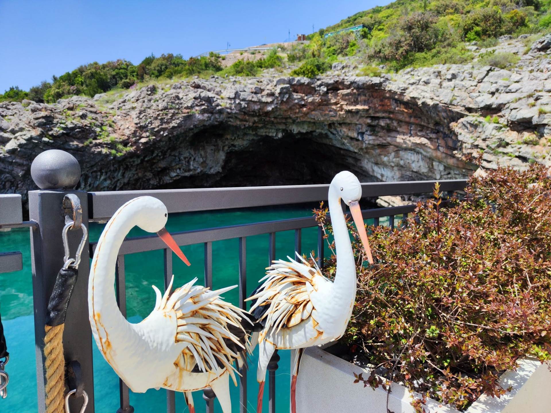 Fotografirano sa Xiaomi 12 Pro (3).jpg