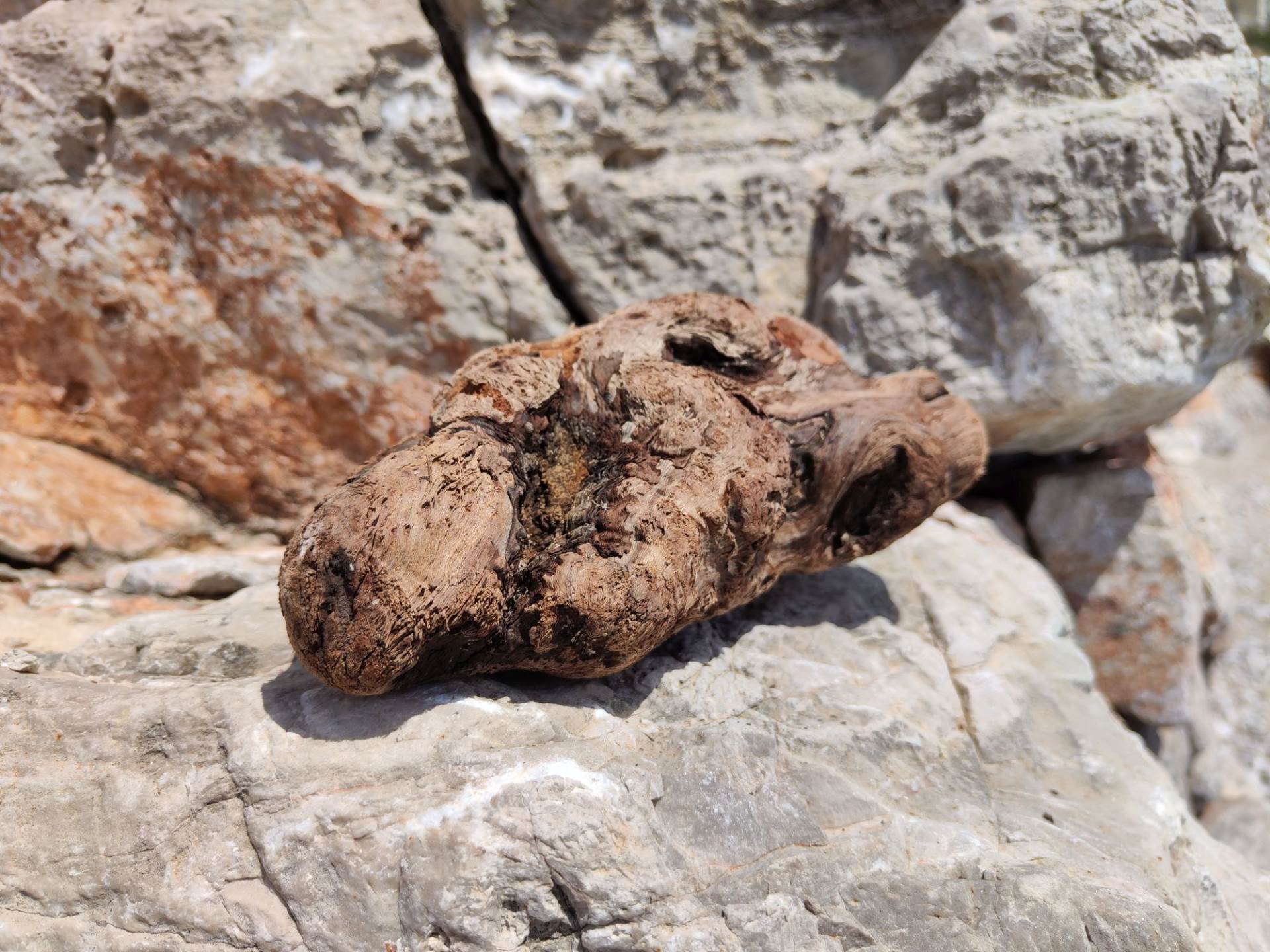 Fotografirano sa Xiaomi 12 Pro (15).jpg