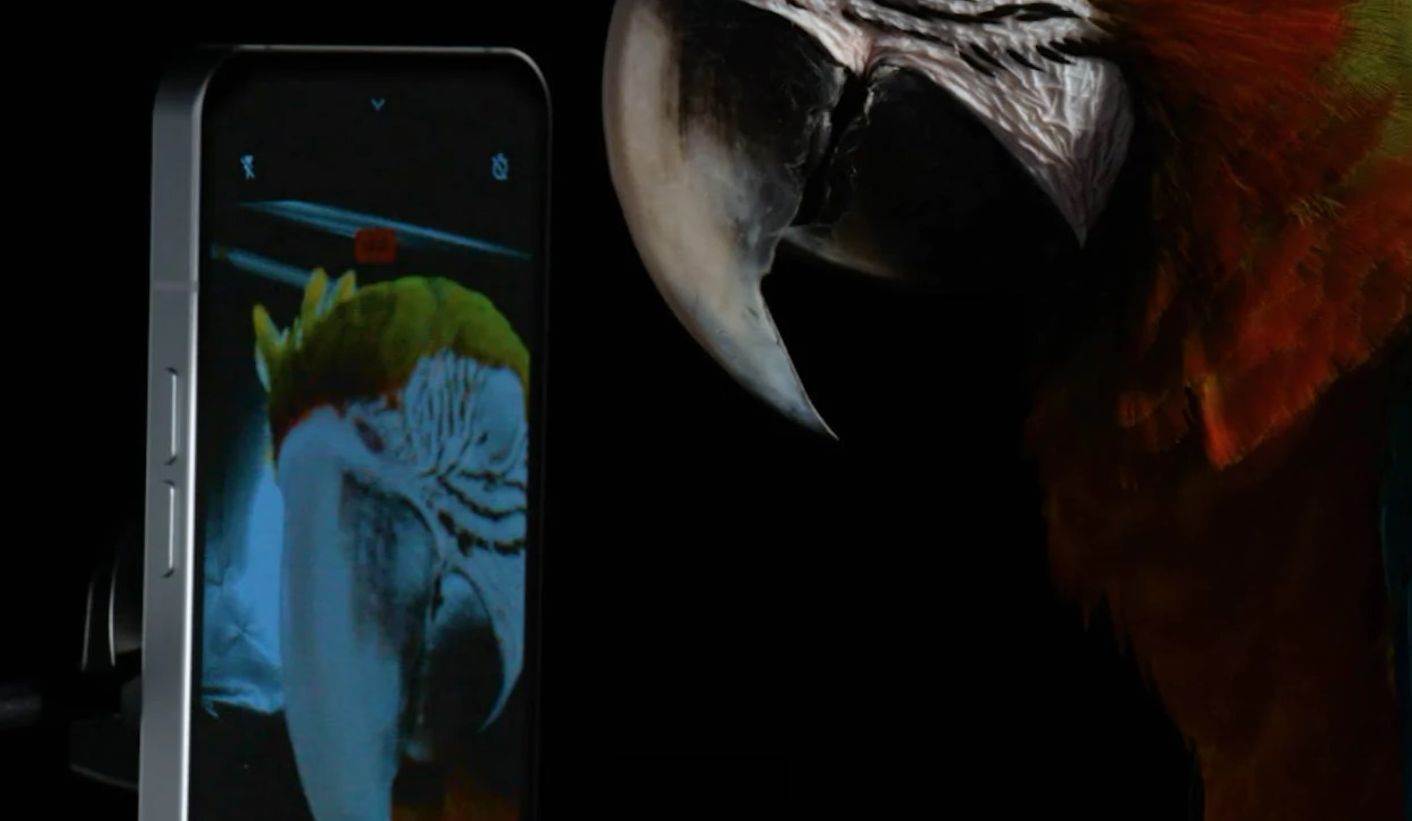 Nothing Phone (4).jpg