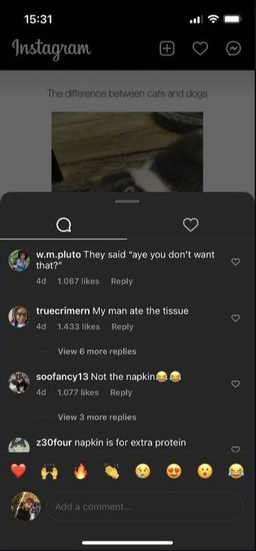 Instagram Story (4).jpg