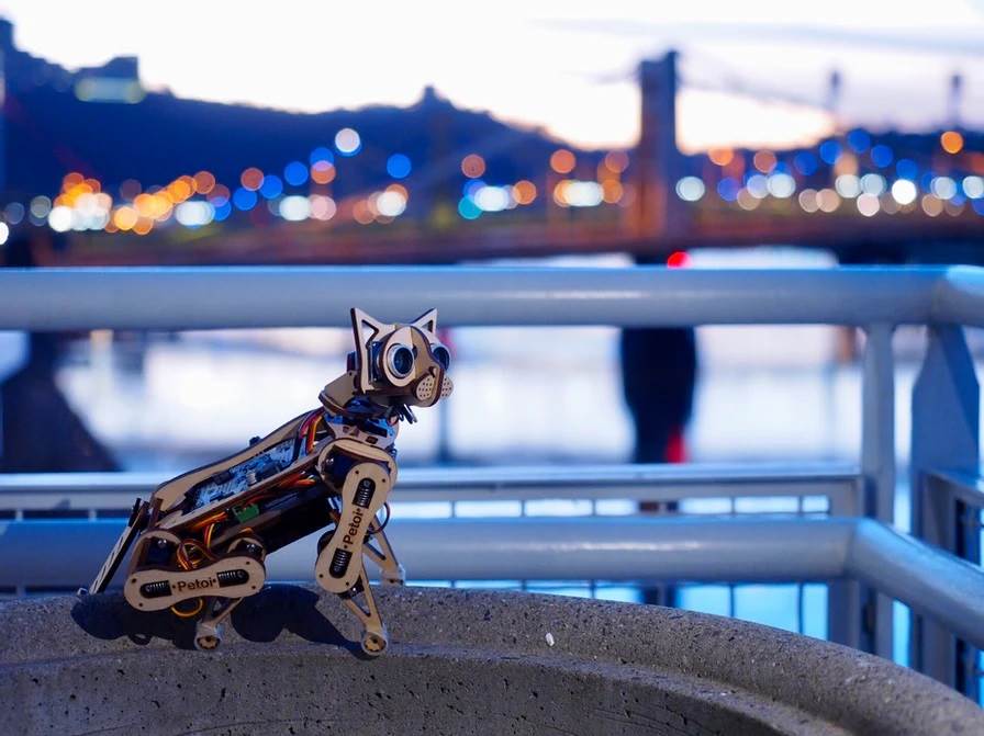 Petoi Nybble (10).jpg