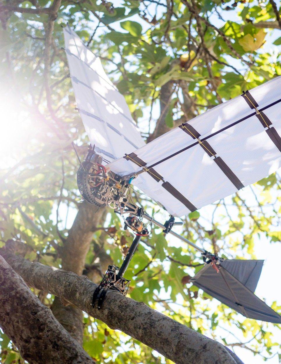 Ornitopter robot ptica (7).jpg