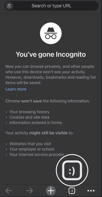 Chrome iOS 2.jpg