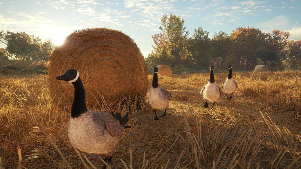 theHunter Call of the Wild  (6).jpg