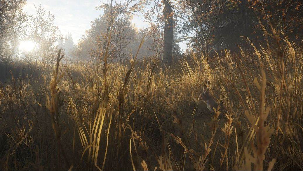 theHunter Call of the Wild  (2).jpg