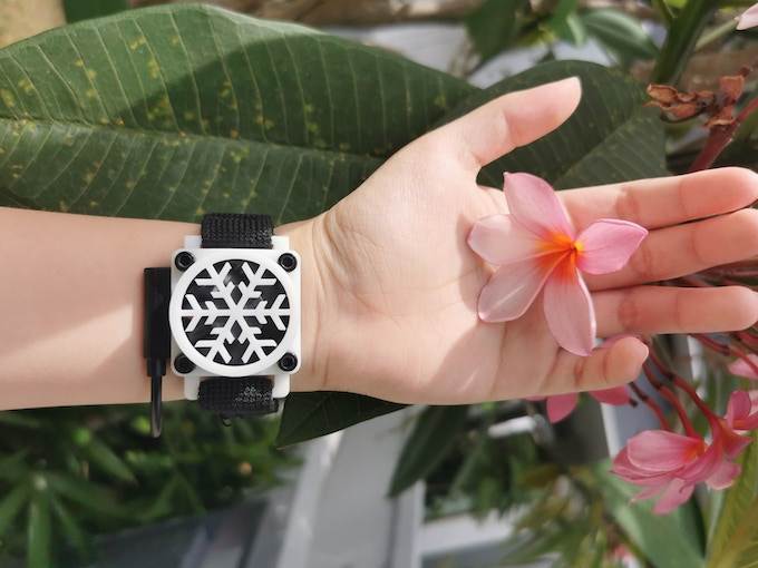 Silent Cicada (1).jpg