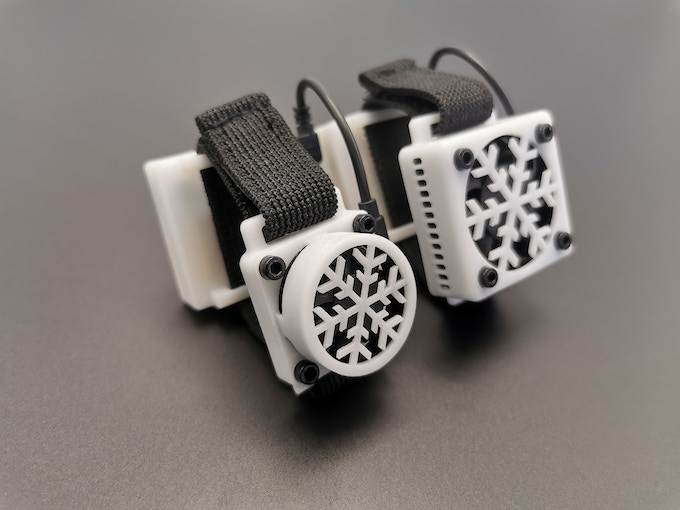 Silent Cicada (8).jpg