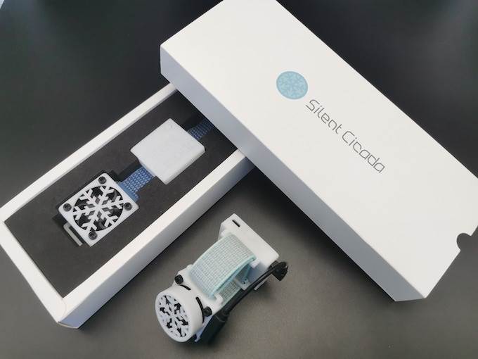 Silent Cicada (2).jpg