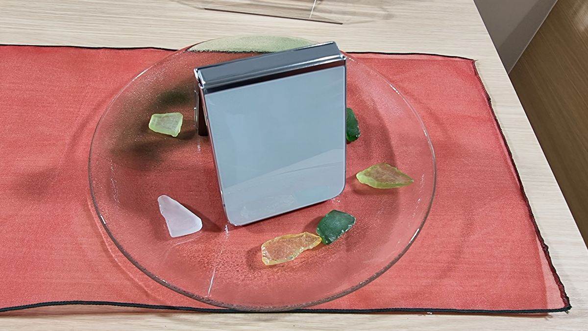 Samsung Galaxy Z Flip5 (25).jpg