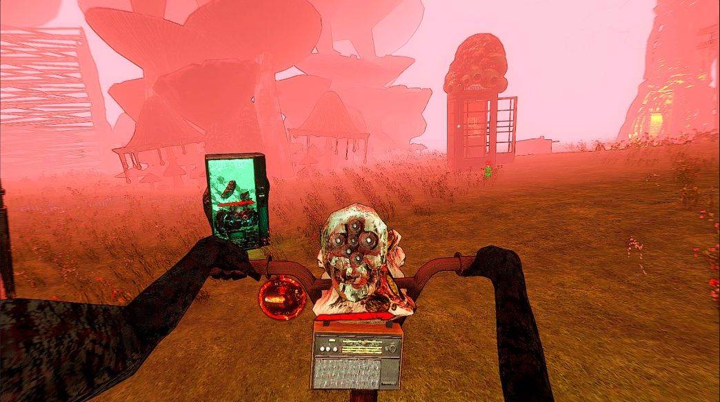 Golden Light (4).jpg