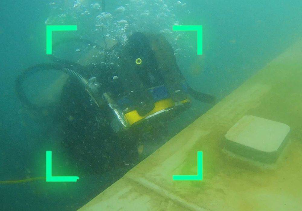 Qysea AI Diver Tracking (7).jpg