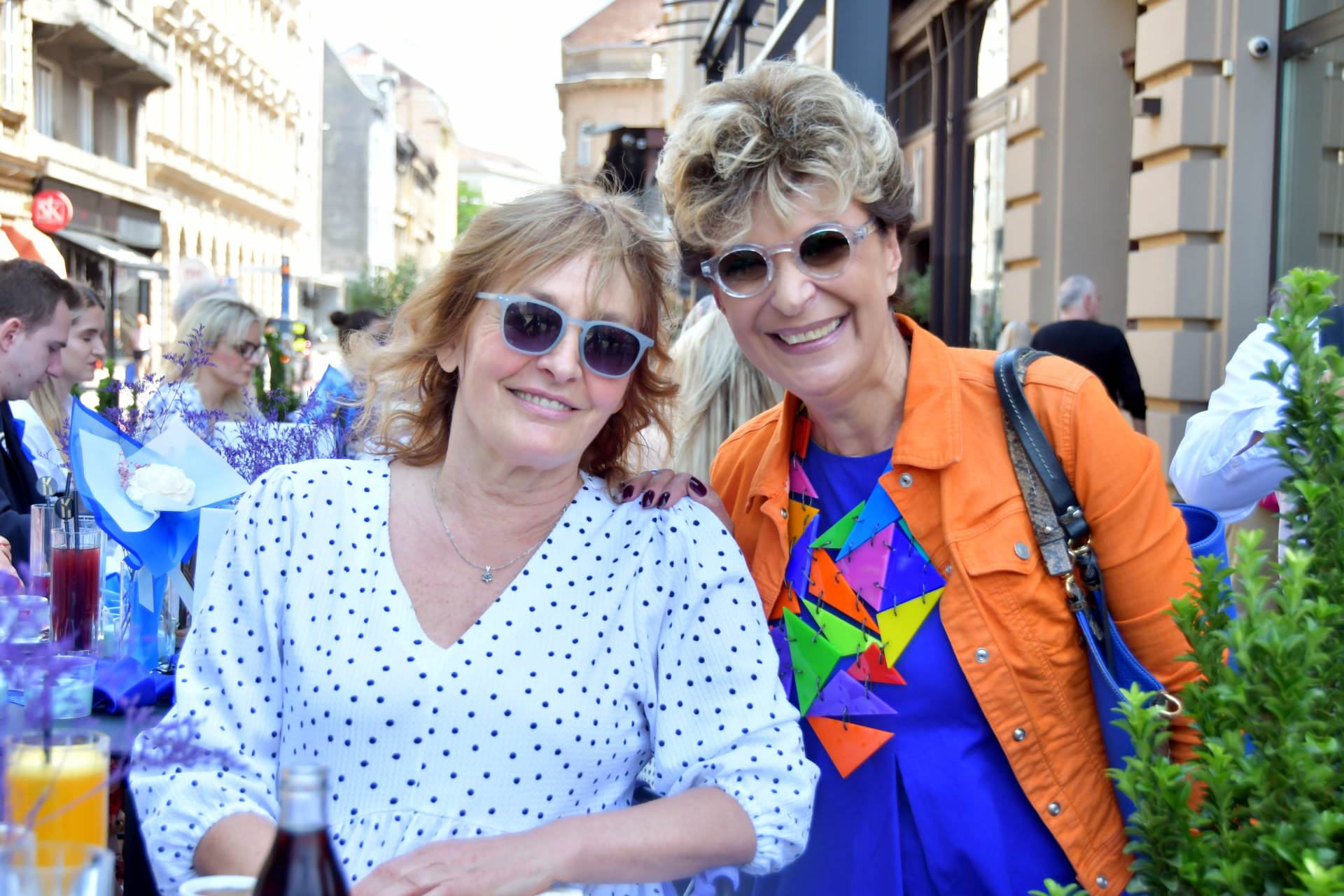 knjiz╠îevnica pilic╠ü i dizajnerica Diana Sokolic╠ü.JPG