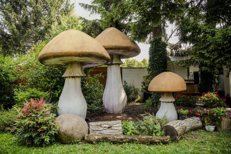 Adi Šoše oduševio fanove na brunch druženju