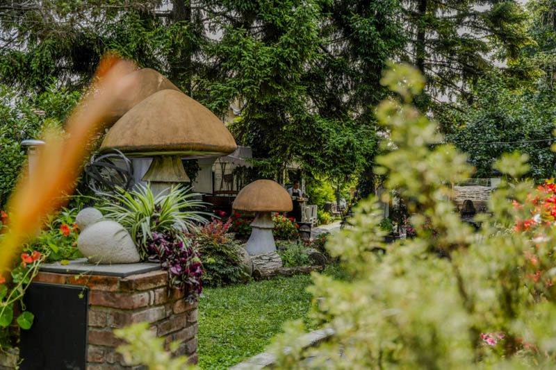 Adi Šoše oduševio fanove na brunch druženju