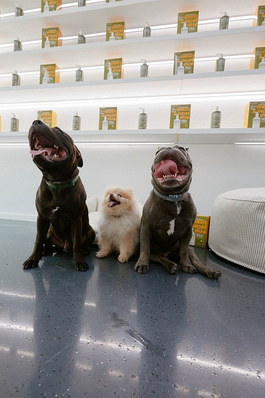 Eleven Australi Duo Wash & Woof  (6).jpg