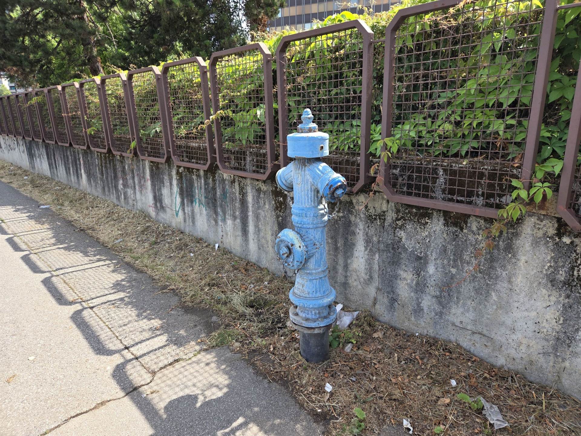 Fotografirano sa Samsung Galaxy S25+ (4).jpg