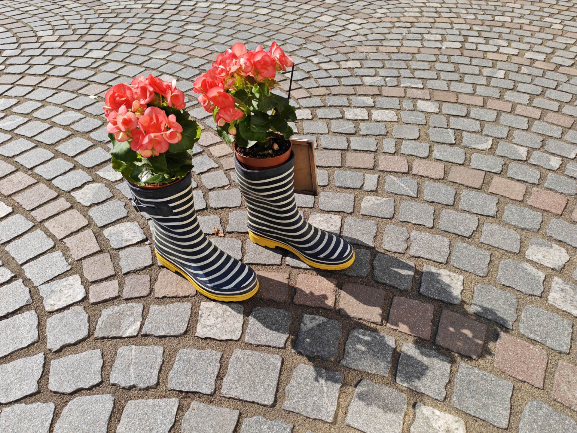 Fotografirano s Honor 400 Pro (28).jpg