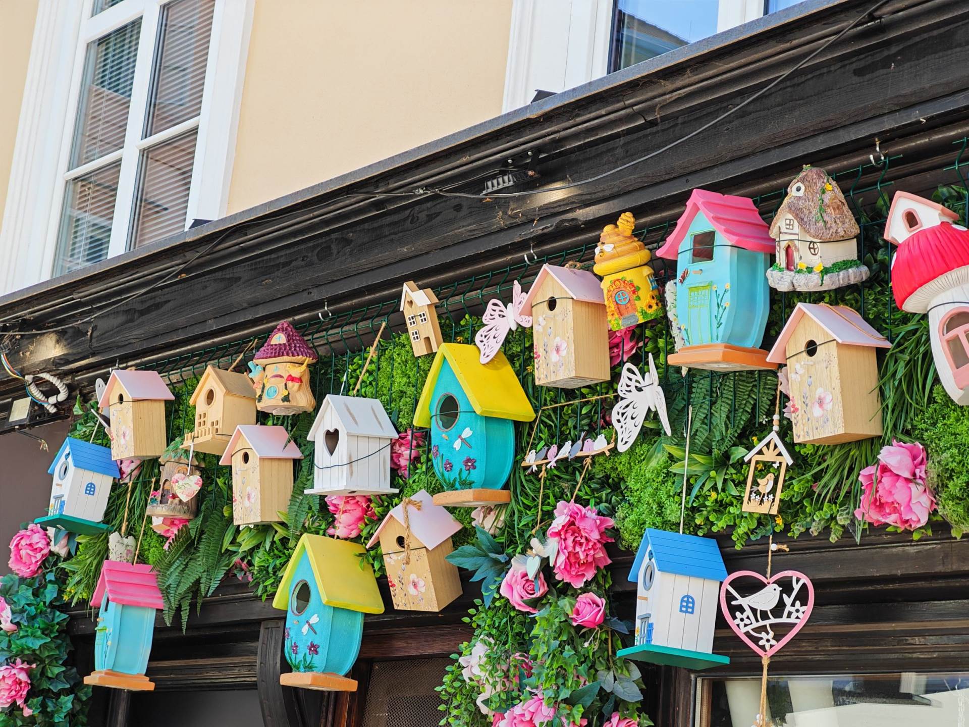 Fotografirano s Honor 400 Pro (25).jpg