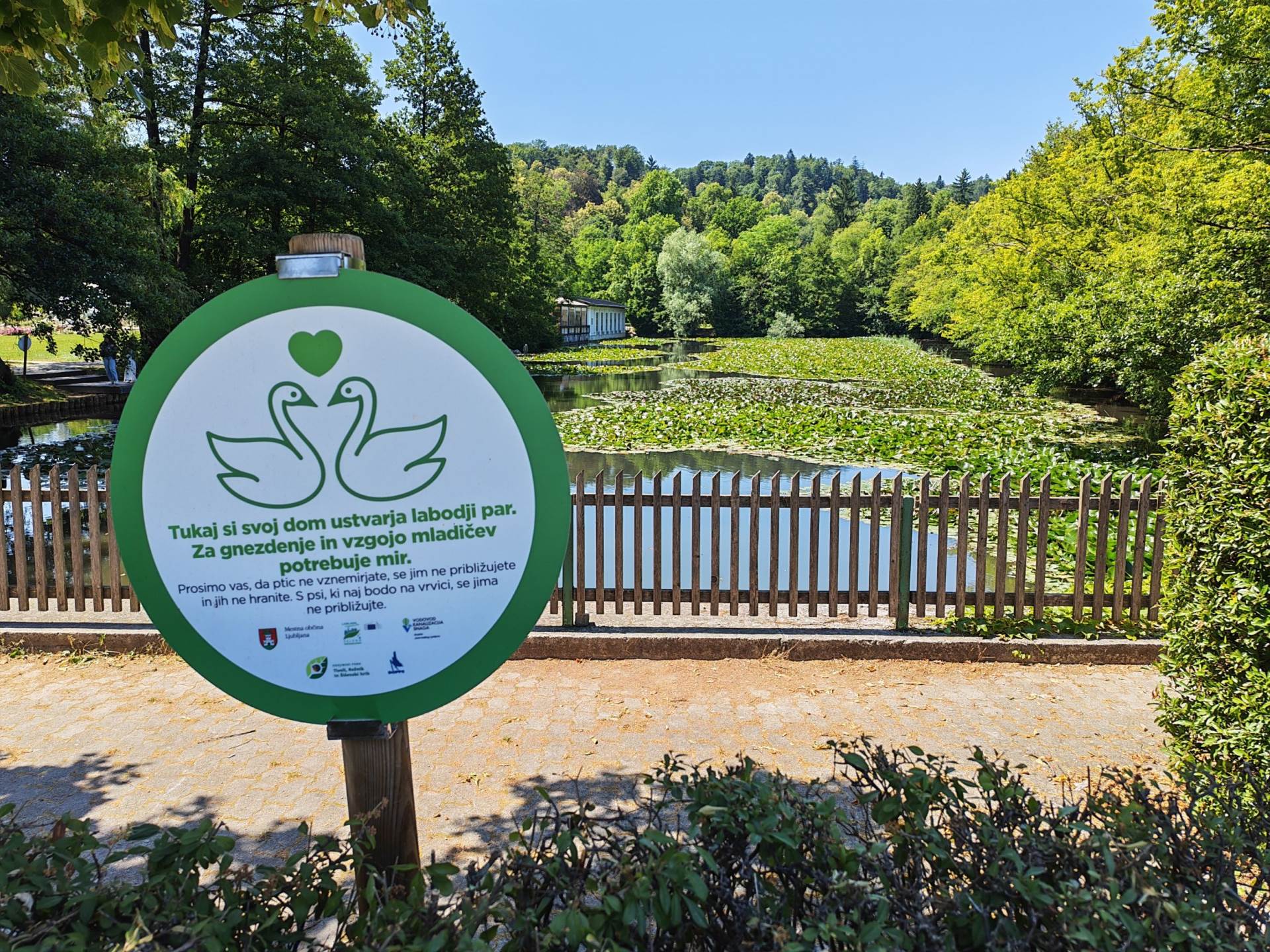 Fotografirano s Honor 400 Pro (20).jpg