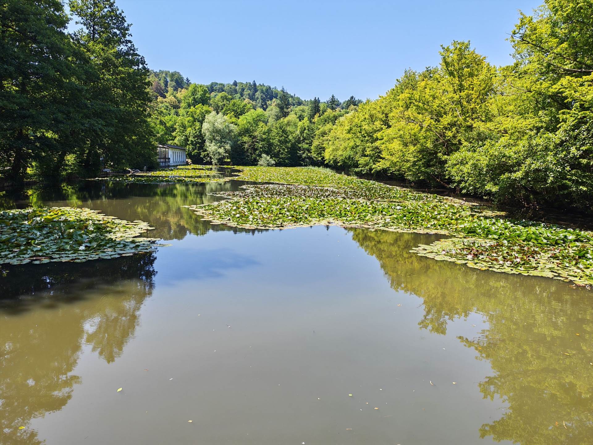 Fotografirano s Honor 400 Pro (21).jpg