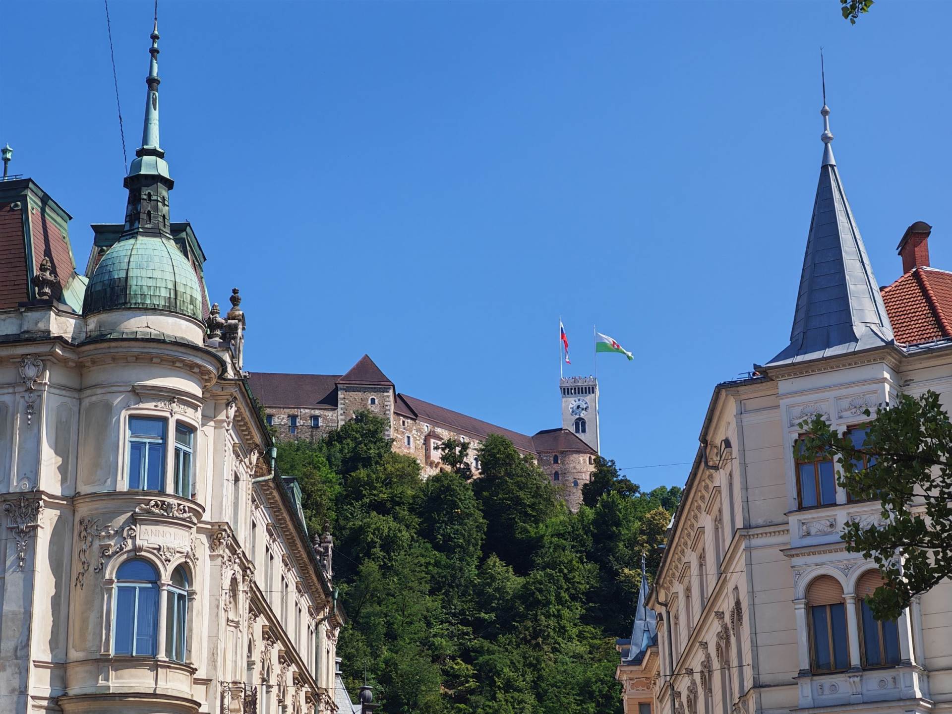 Fotografirano s Honor 400 Pro (24).jpg