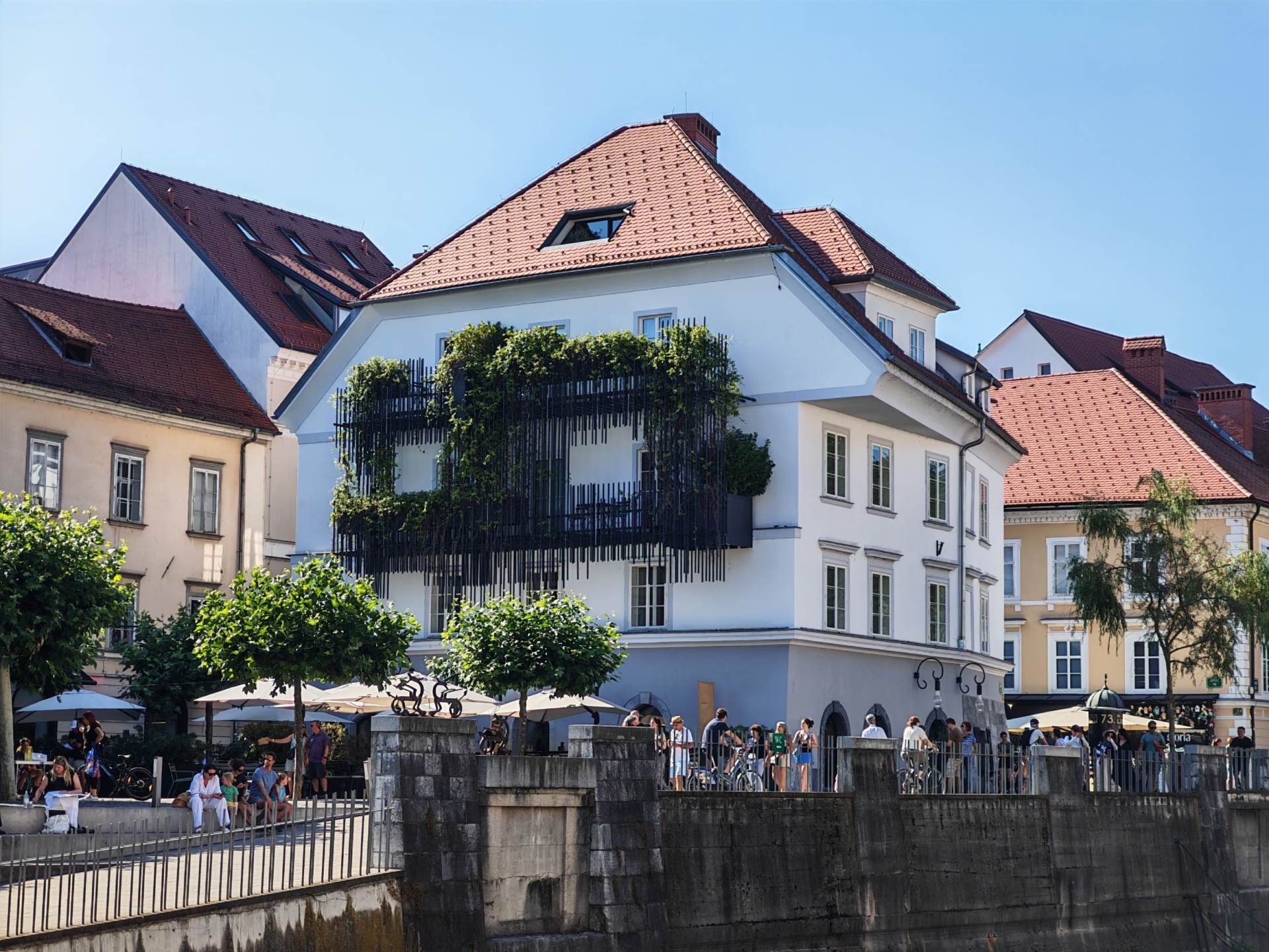 Fotografirano s Honor 400 Pro (26).jpg