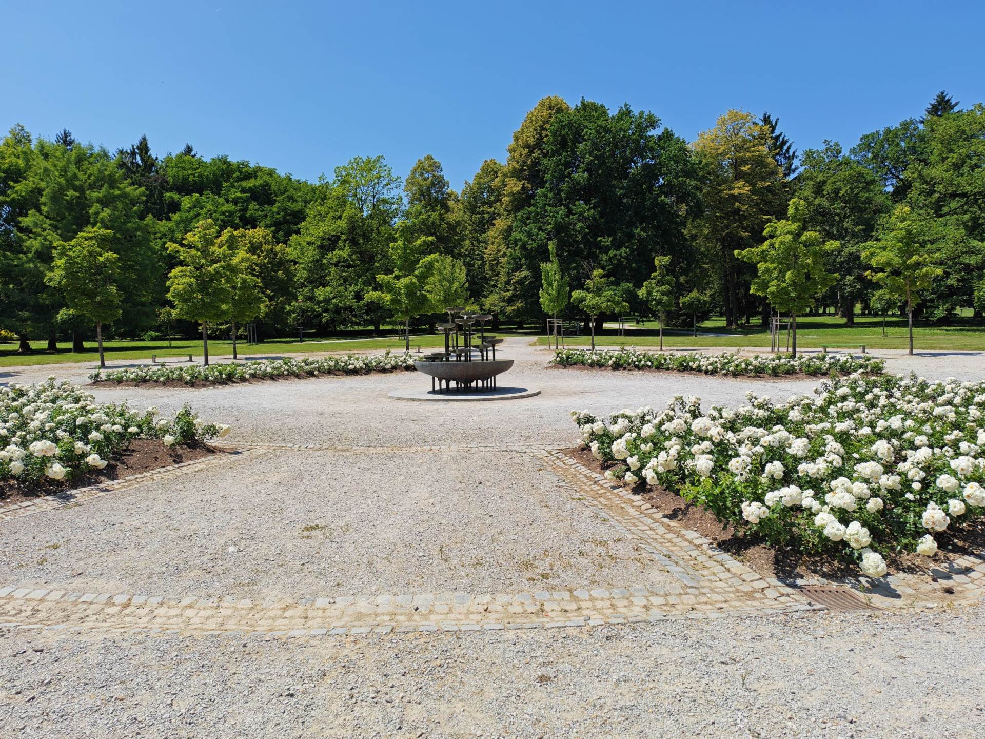 Fotografirano s Honor 400 Pro (4).jpg