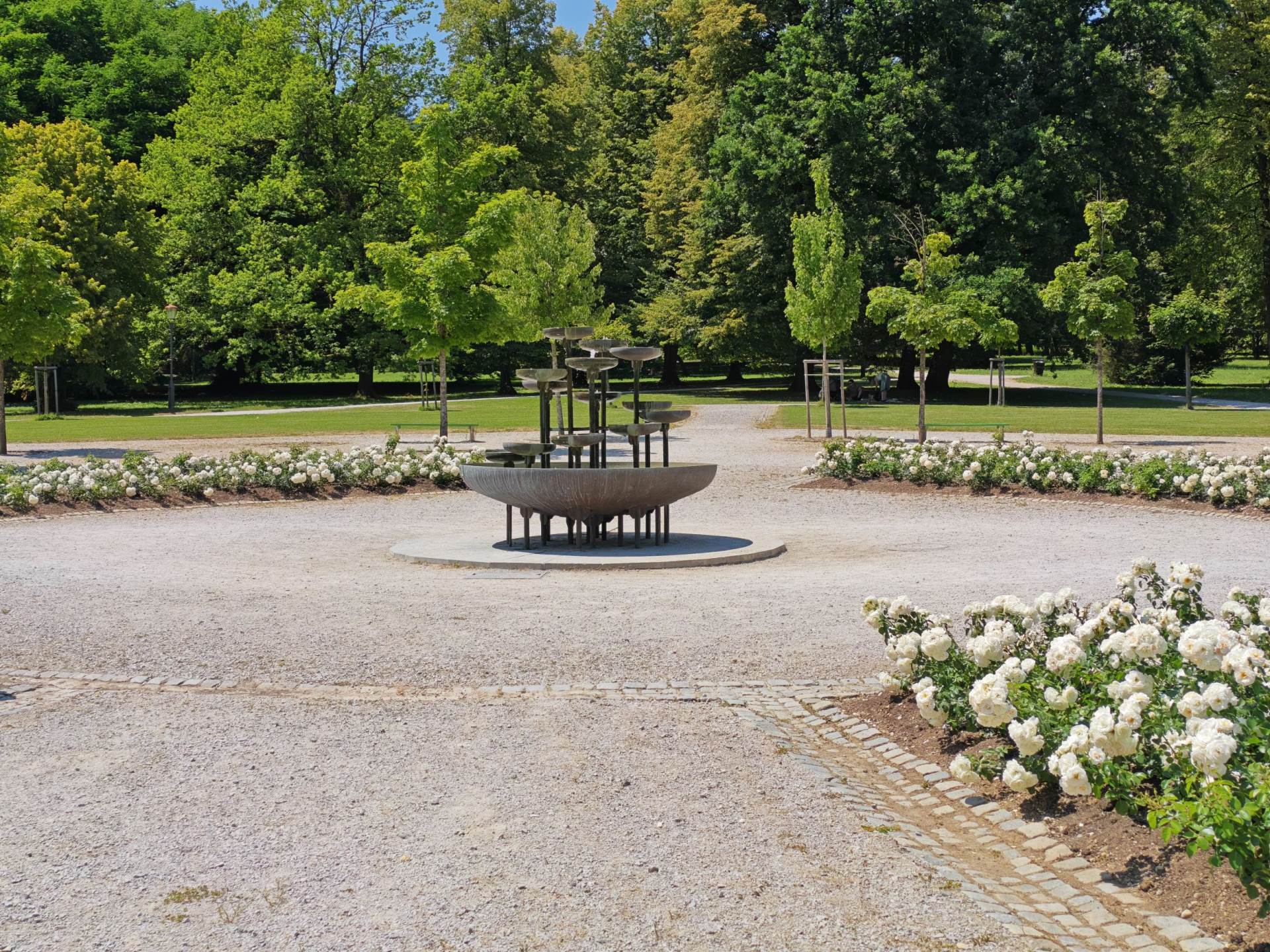 Fotografirano s Honor 400 Pro (5).jpg