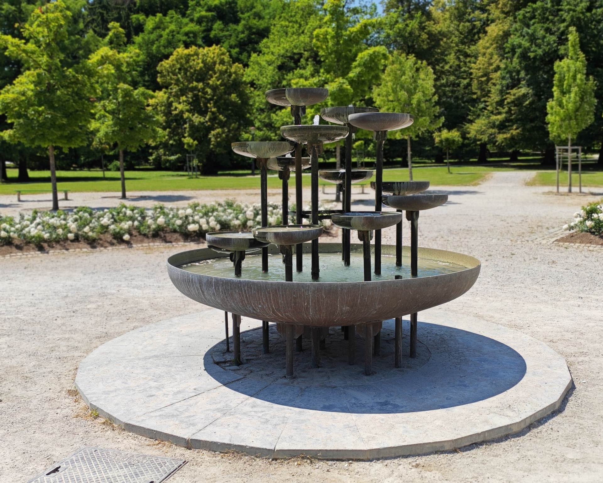 Fotografirano s Honor 400 Pro (7).jpg