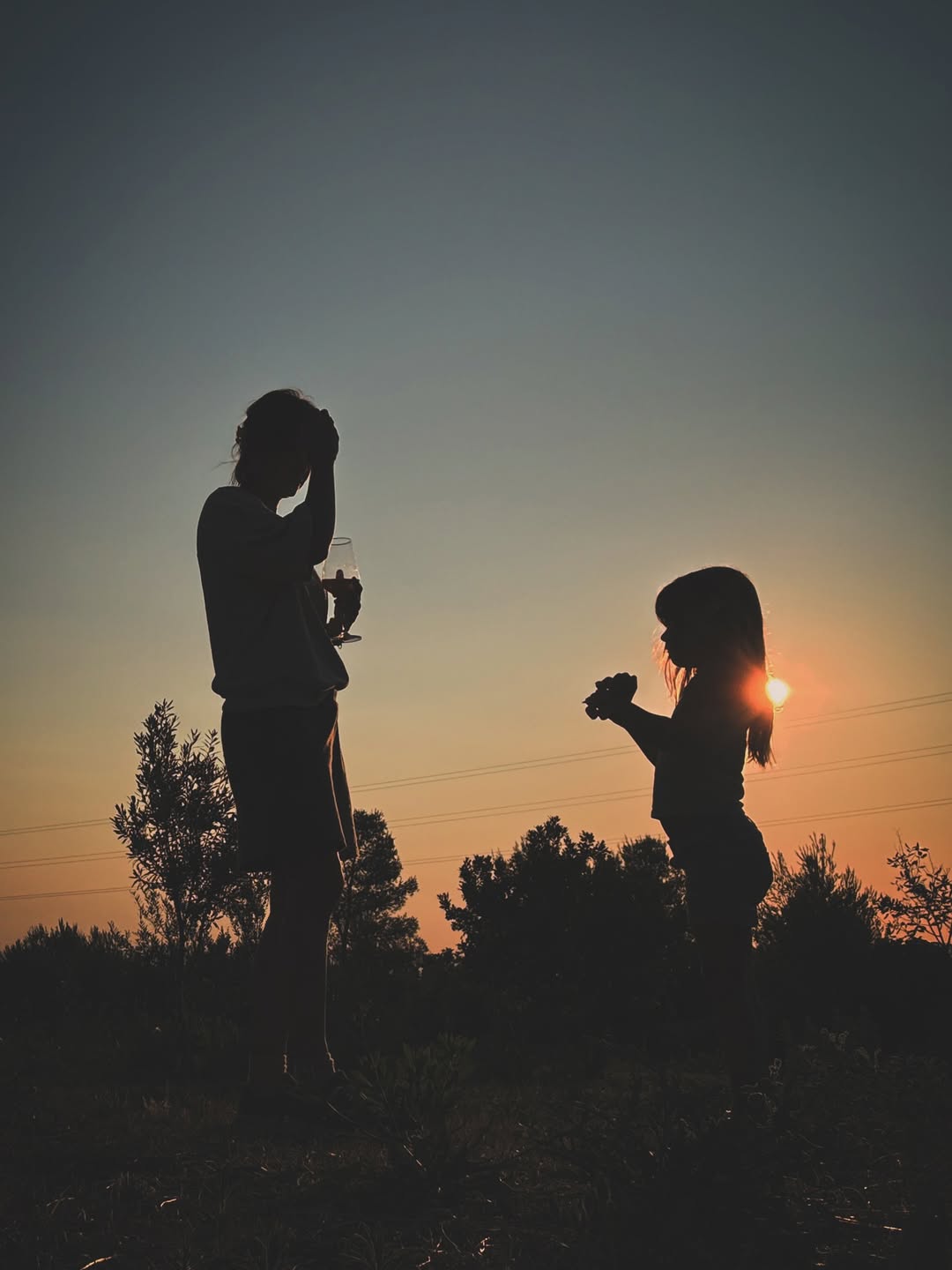 Danijela Dvornik kućica u masliniku