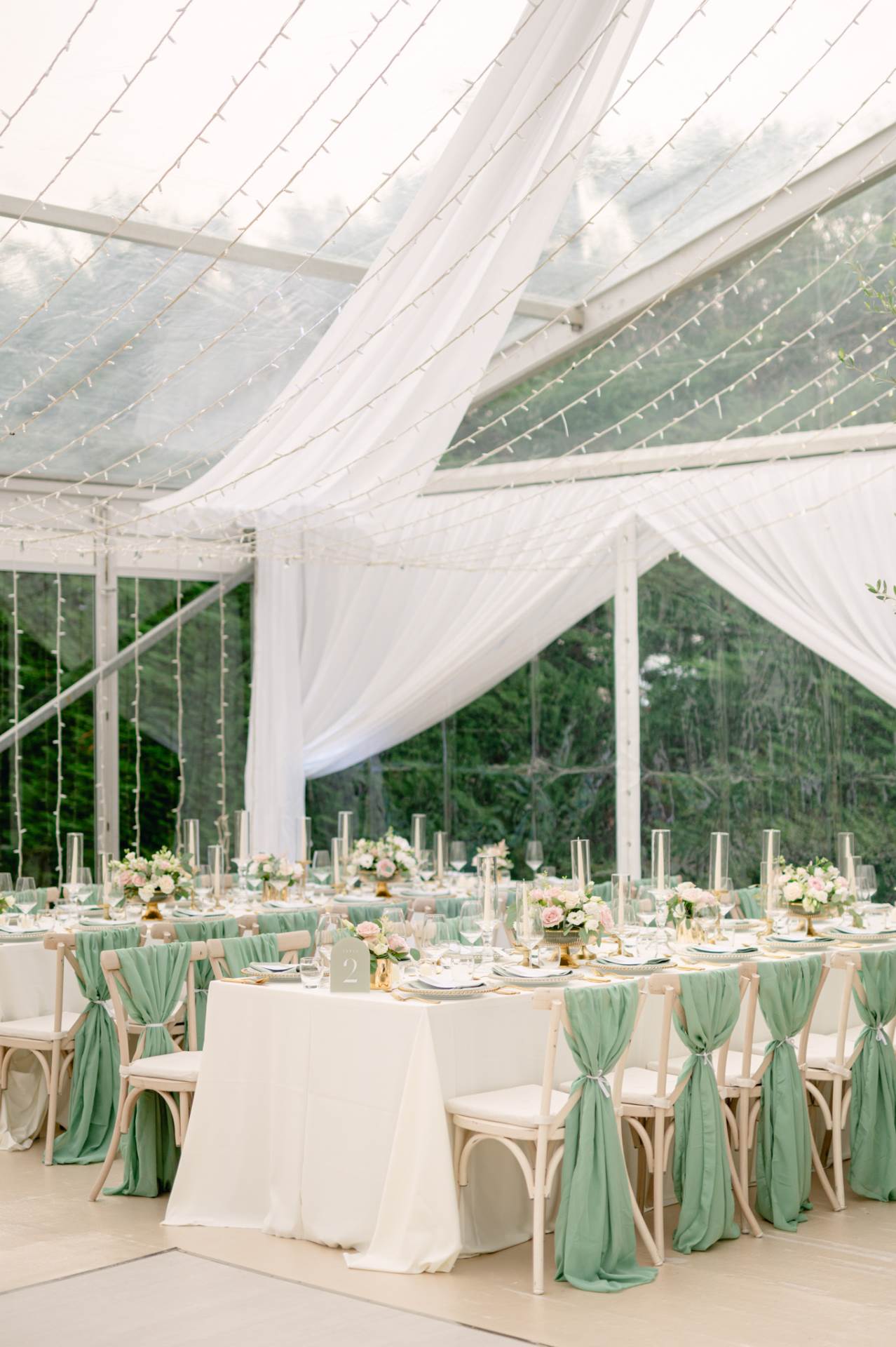 Teodor Korodi_DSC_7807.jpg