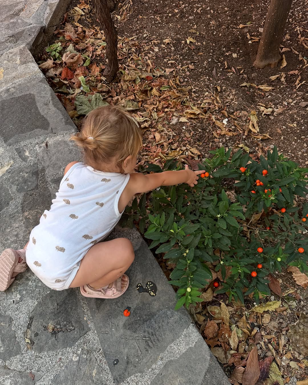 Kci Anite Dujic proslavila drugi rodendan