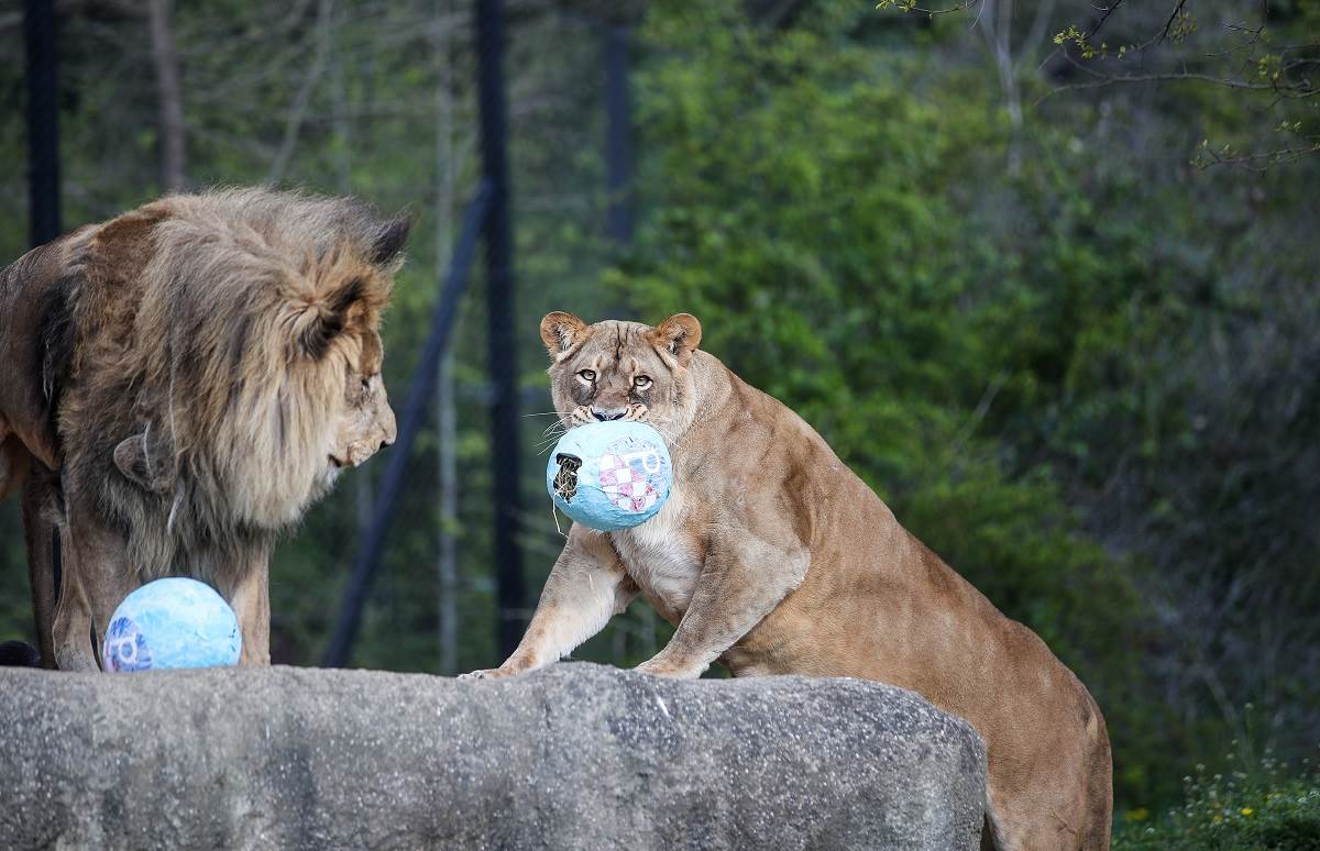 Program za Uskrs u Zoološkom vrtu Grada Zagreba 